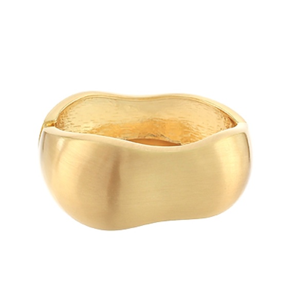 Brushed Metal Bangle Hinge Bracelet - Picture 1 of 2